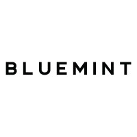 bluemint_logo